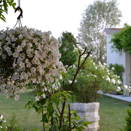 Two Elegant Depandance Villa Conscio Exterior foto