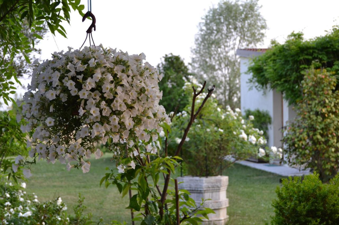 Two Elegant Depandance Villa Conscio Exterior foto